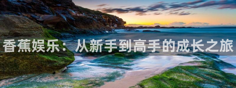 万事娱乐：香蕉娱乐：从新手到高手的成长之旅