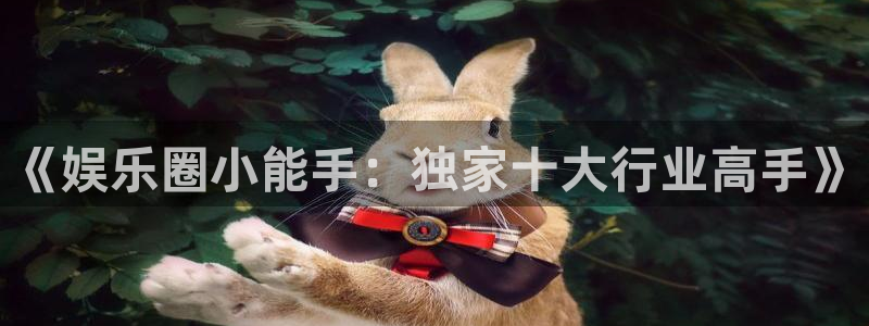 万事娱乐登录：《娱乐圈小能手：独家十大行业高手》