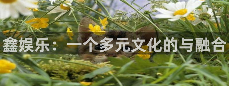 万事娱乐登录：鑫娱乐：一个多元文化的与融合
