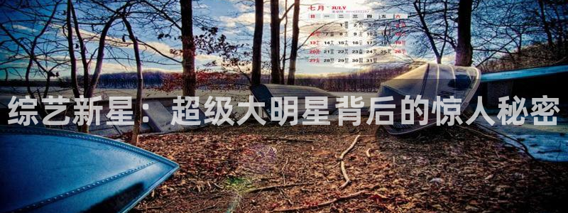 万事娱乐登录地址：综艺新星：超级大明星背后的惊人秘密