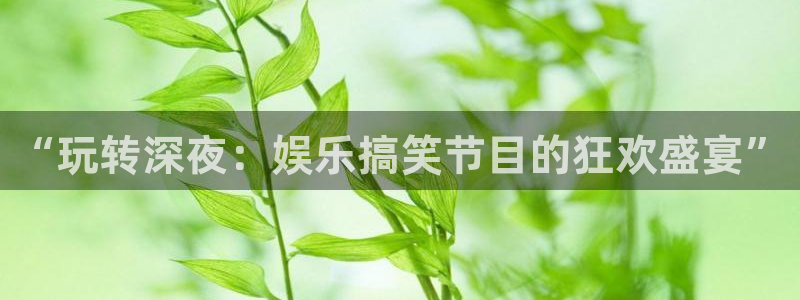 万事娱乐登录：“玩转深夜：娱乐搞笑节目的狂欢盛宴”