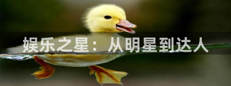 upload/20250701114914.jpg